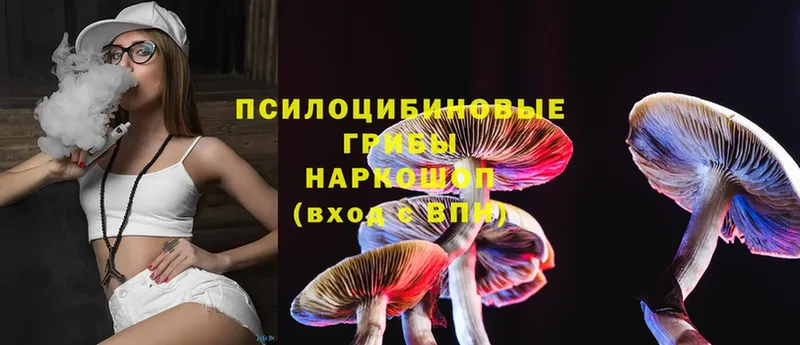 где купить наркоту  Анапа  Галлюциногенные грибы Magic Shrooms 